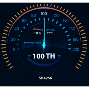 Bitcoin Mining Rental 100TH SHA256